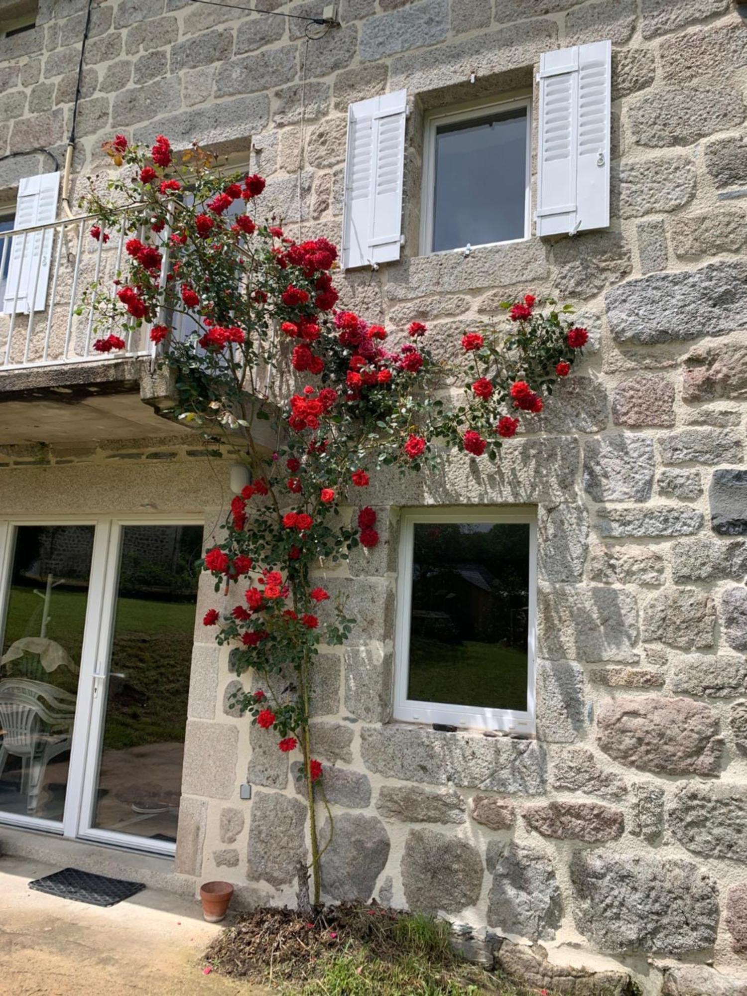 Ferme Au Calme A 15Mn Du Chambon Sur Lignon Villa Saint-Jeures Exteriör bild